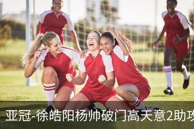 亚冠-徐皓阳杨帅破门高天意2助攻 申花2-1淡滨尼流浪者
